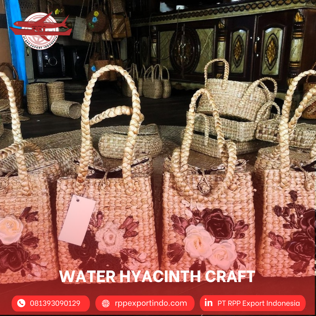 Water Hyacinth Crafts